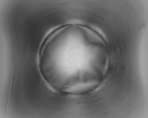 X0000111601040200907301442
