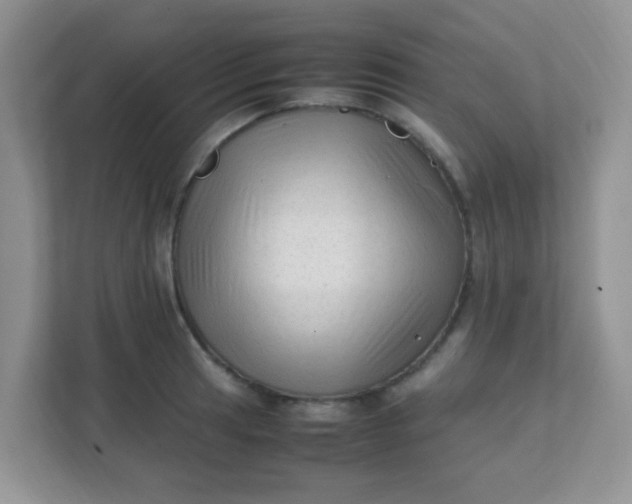 X0000111601041200907301442