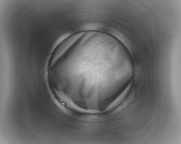 X0000111601042200907301442