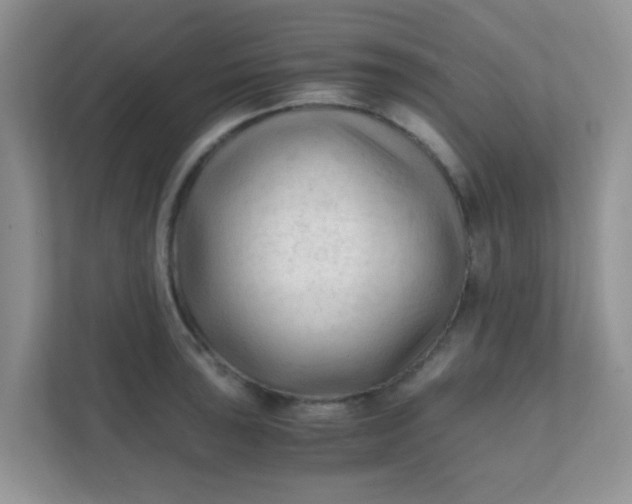 X0000111601043200907301442