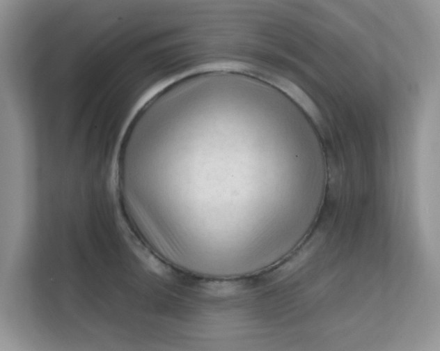 X0000111601044200907301442