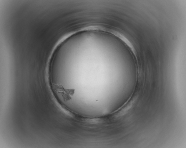 X0000111601045200907301442