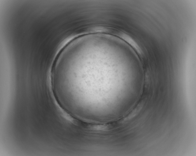 X0000111601047200907301442