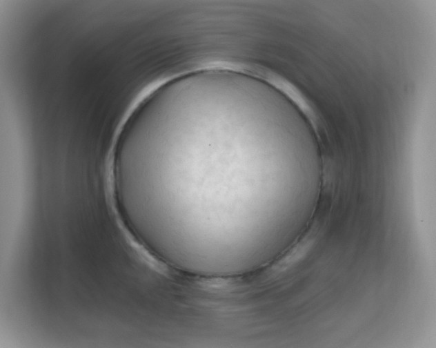 X0000111601048200907301442
