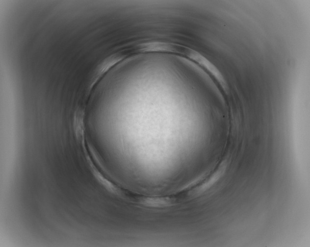 X0000111601049200907301442