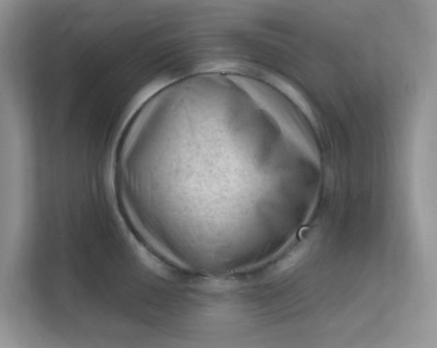 X0000111601050200907301442