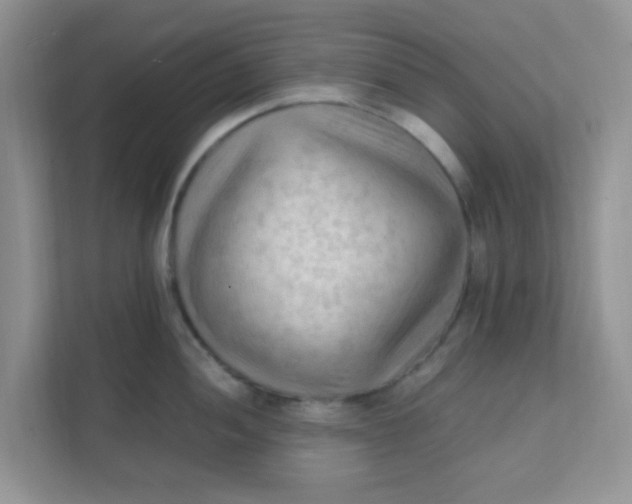 X0000111601052200907301442