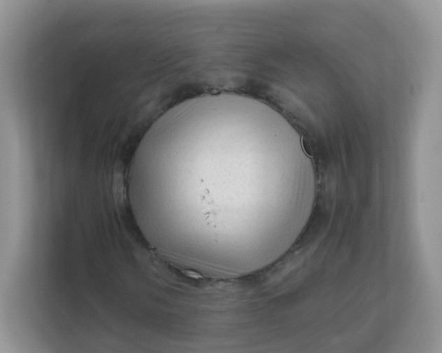 X0000111601058200907301442