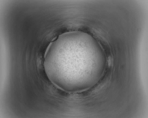 X0000111601059200907301442
