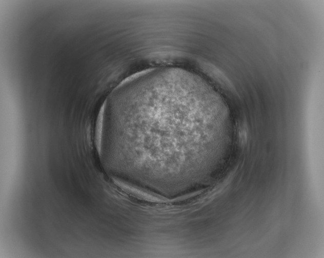 X0000111601060200907301442