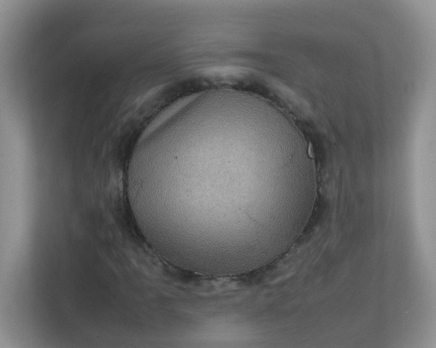 X0000111601061200907301442