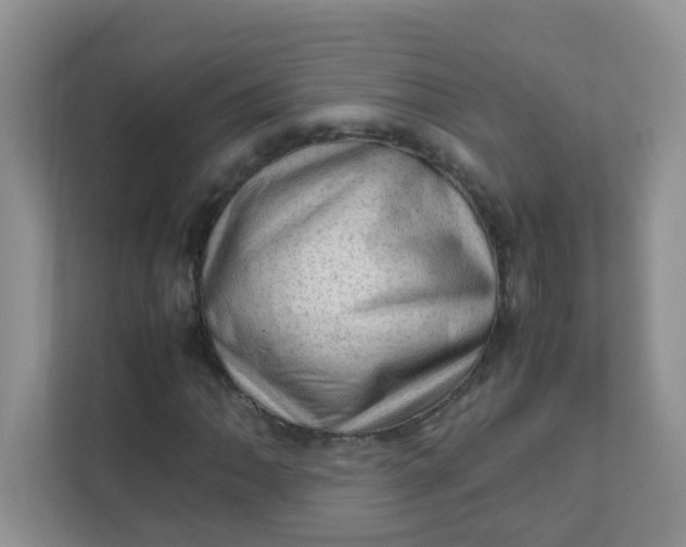 X0000111601062200907301442