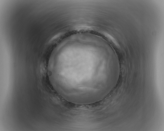 X0000111601063200907301442
