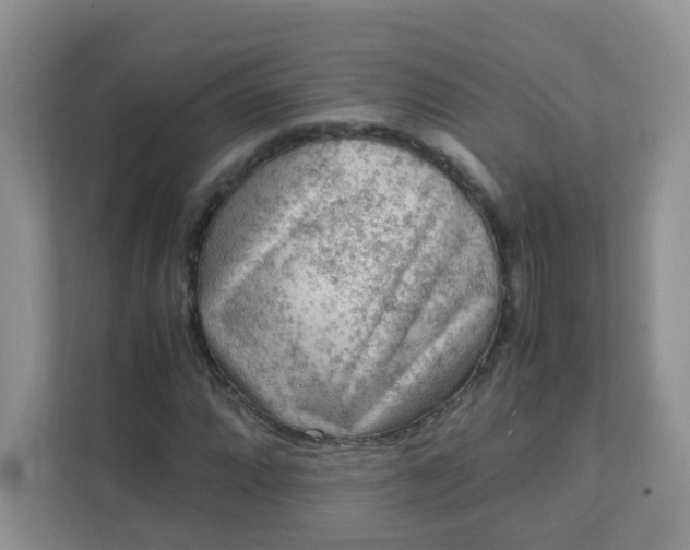 X0000111601064200907301442