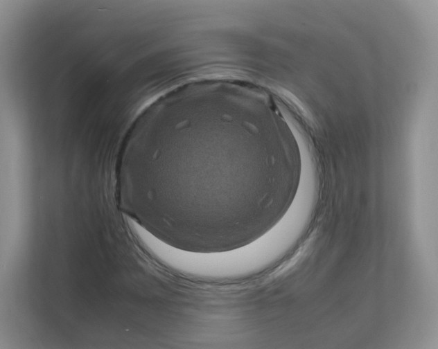 X0000111601065200907301442