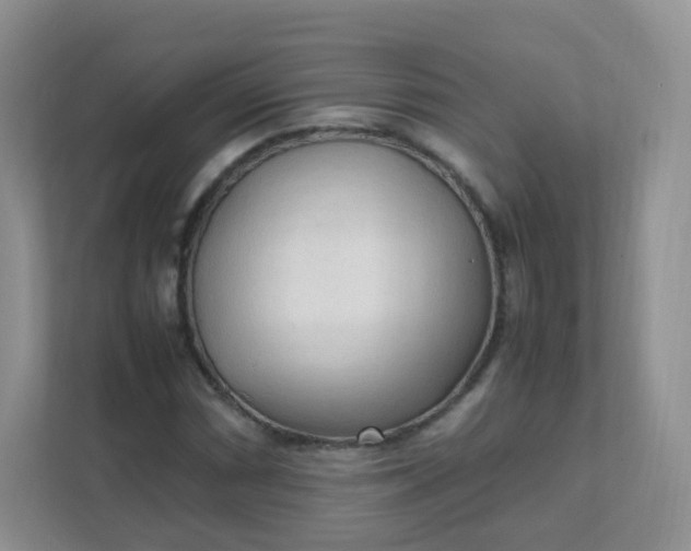 X0000111601066200907301442