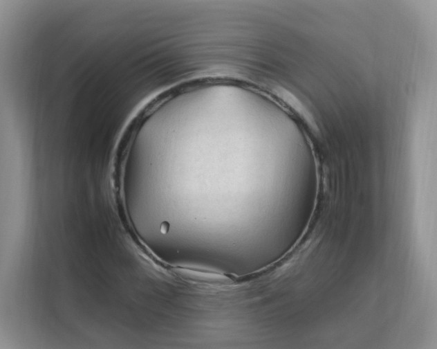 X0000111601068200907301442