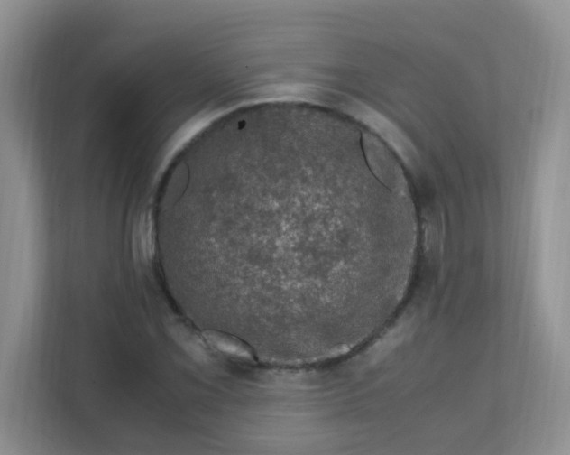 X0000111601069200907301442