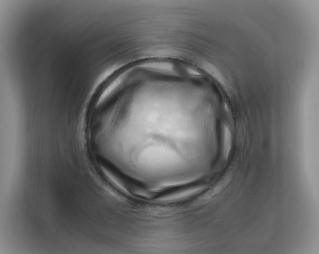 X0000111601071200907301442
