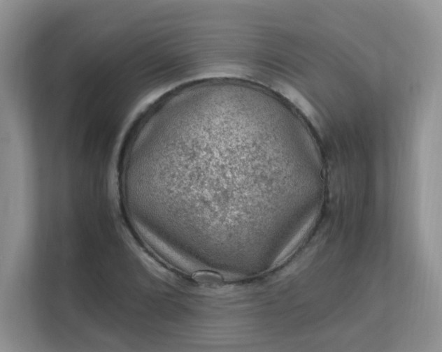 X0000111601072200907301442