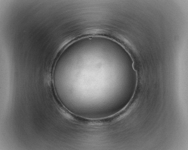 X0000111601073200907301442