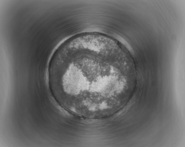X0000111601076200907301442