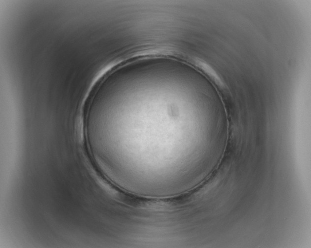 X0000111601079200907301442