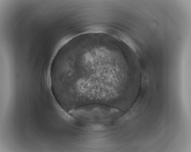 X0000111601080200907301442