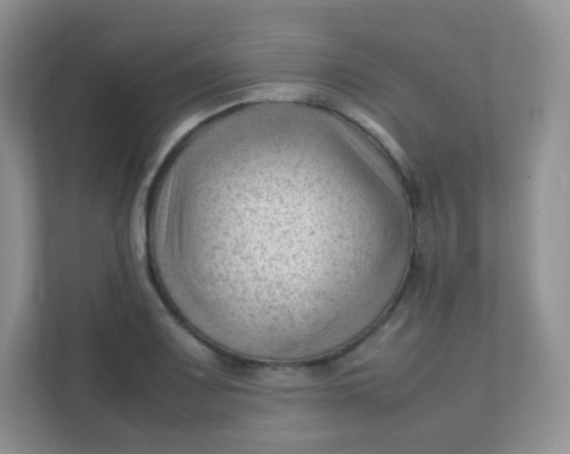 X0000111601083200907301442