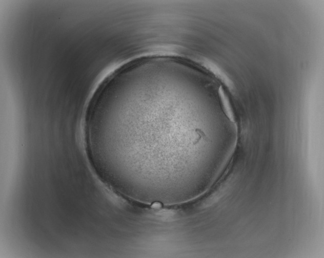 X0000111601085200907301442