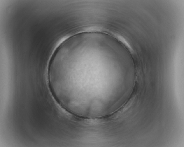 X0000111601087200907301442