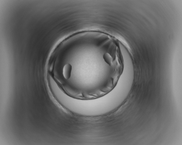 X0000111601088200907301442