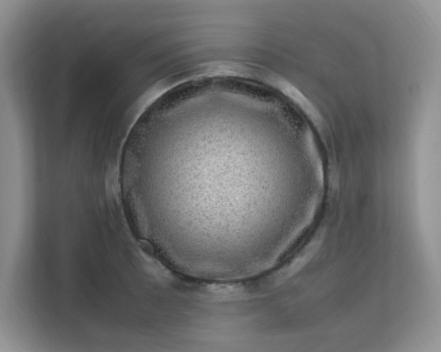 X0000111601089200907301441