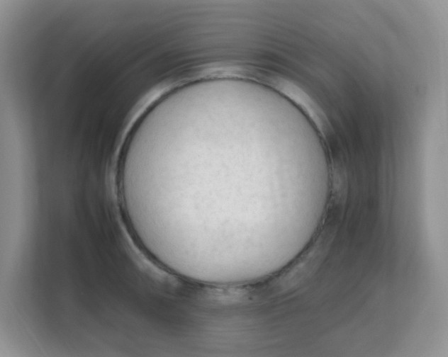 X0000111601090200907301441