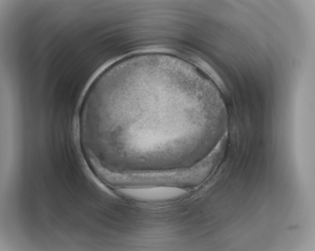 X0000111601092200907301441