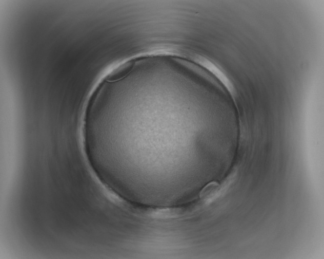 X0000111601093200907301441