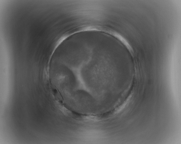X0000111601097200907301441