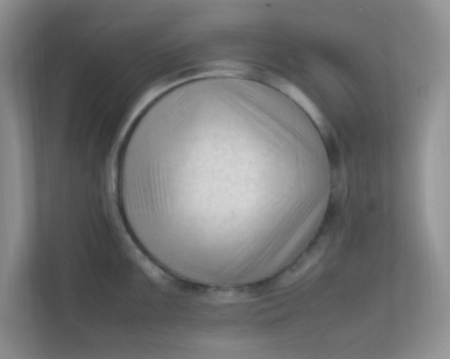 X0000111601099200907301441