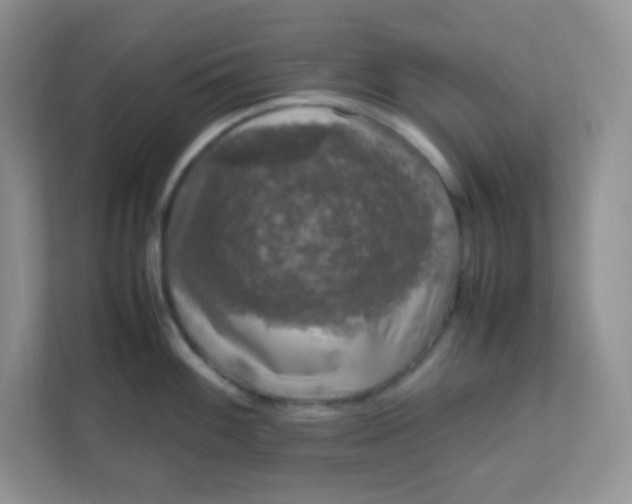 X0000111601100200907301441