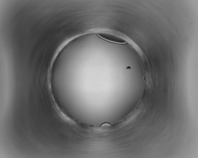 X0000111601102200907301441