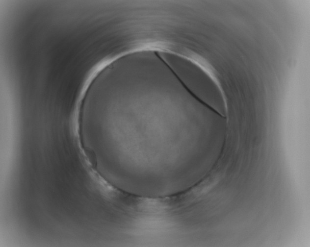 X0000111601104200907301441