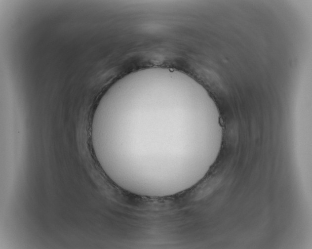 X0000111601105200907301441
