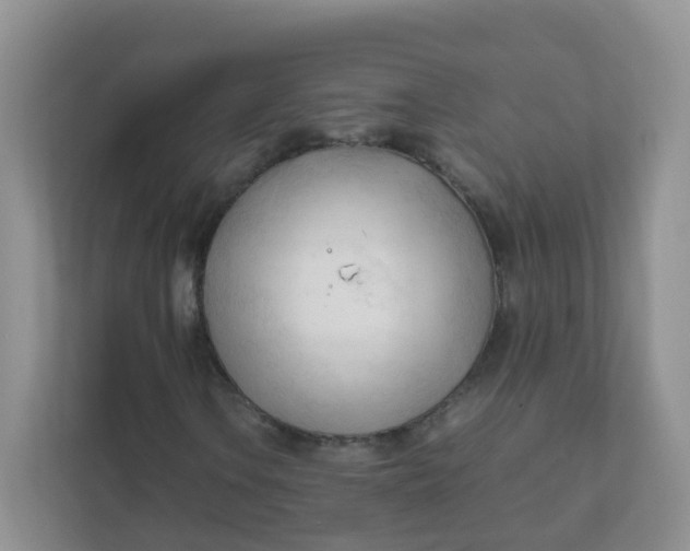 X0000111601106200907301441