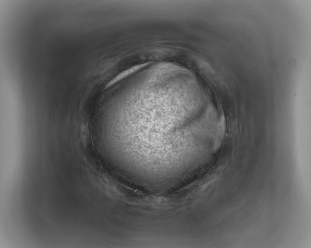 X0000111601109200907301441