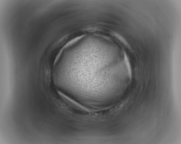 X0000111601111200907301441