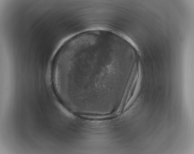 X0000111601116200907301441