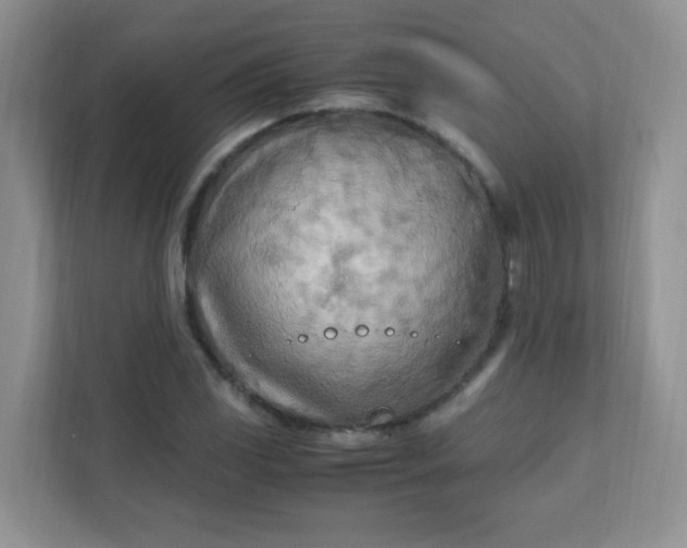 X0000111601117200907301441