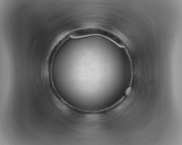 X0000111601118200907301441