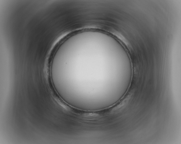 X0000111601119200907301441