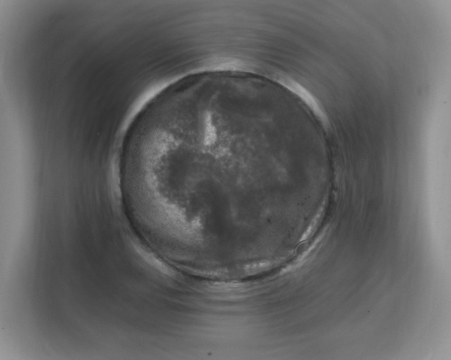 X0000111601120200907301441
